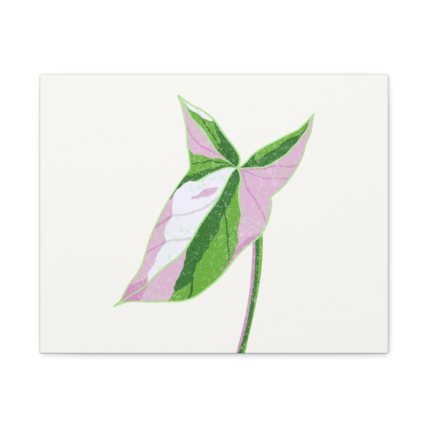 Syngonium Tricolor Canvas Print – Botanical Wall Art