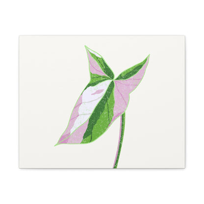Syngonium Tricolor Canvas Print – Botanical Wall Art