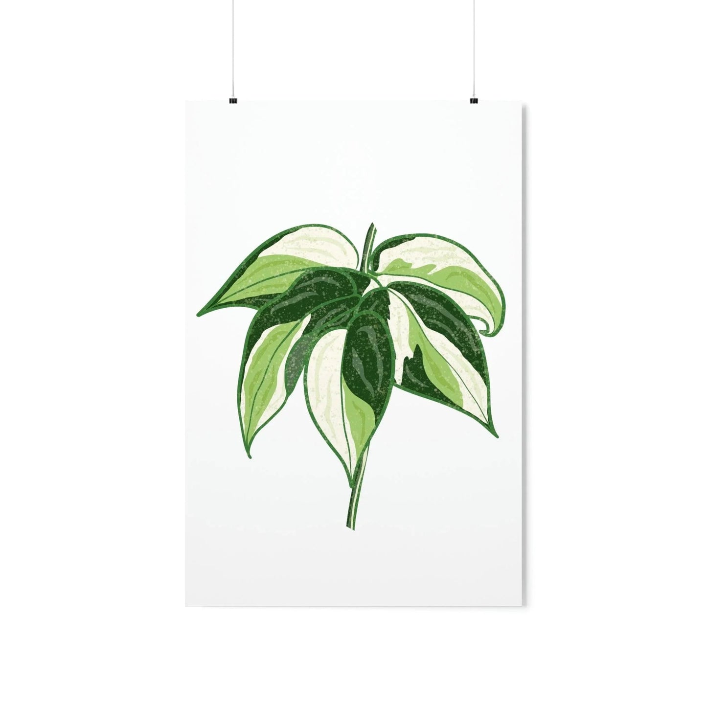 Philodendron Cream Splash Botanical Print – Unframed Wall Art