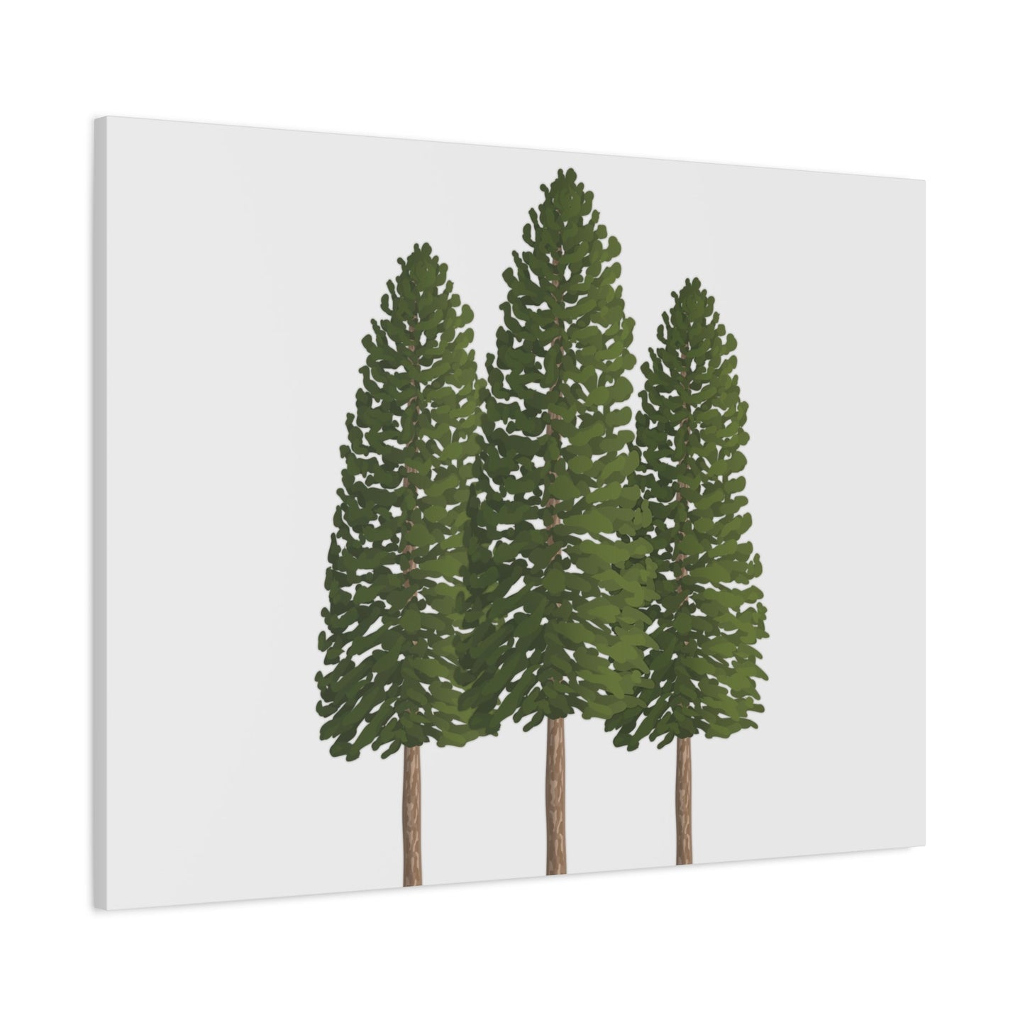 Ponderosa Pine Canvas Print – Wall Art