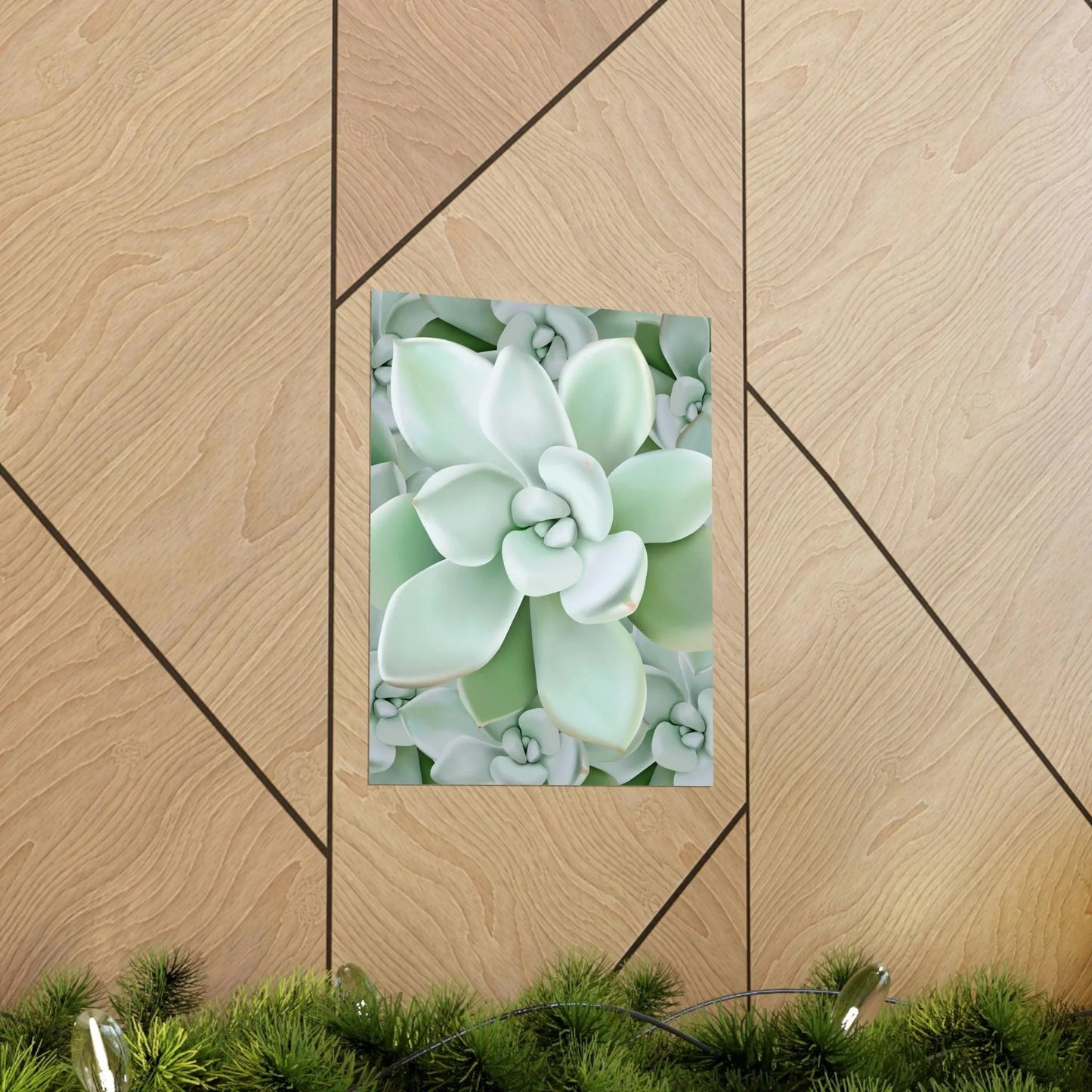 Pachyveria Haagei Succulent Pattern Botanical Print – Unframed Wall Art
