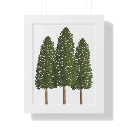 Ponderosa Pine Framed Print – Wall Art