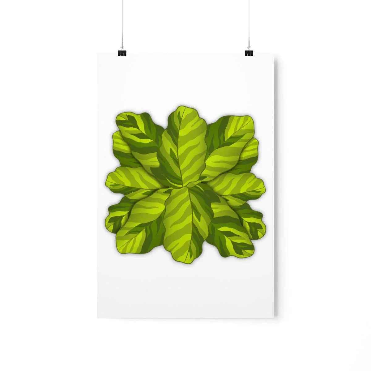 Calathea Yellow Fusion Botanical Print – Unframed Wall Art