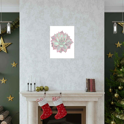 Echeveria Violet Queen Succulent Botanical Print – Unframed Wall Art