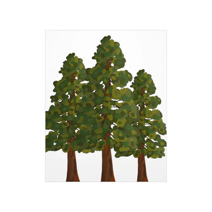 Coastal Redwood Print – Unframed Wall Art
