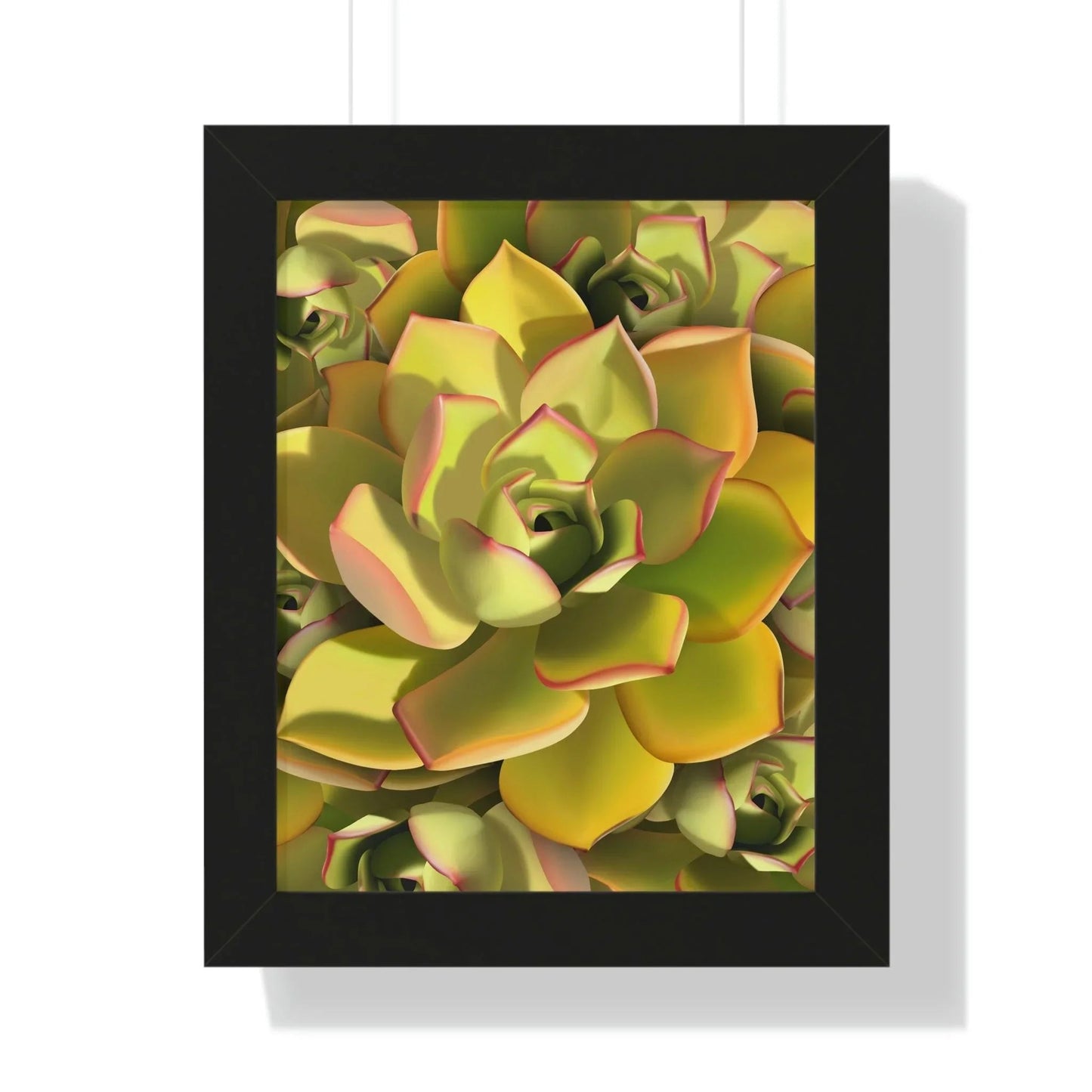 Noble Aeonium Succulent Pattern Framed Print – Botanical Wall Art