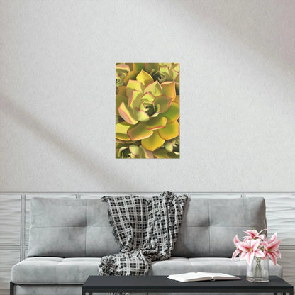 Noble Aeonium Succulent Pattern Botanical Print – Unframed Wall Art