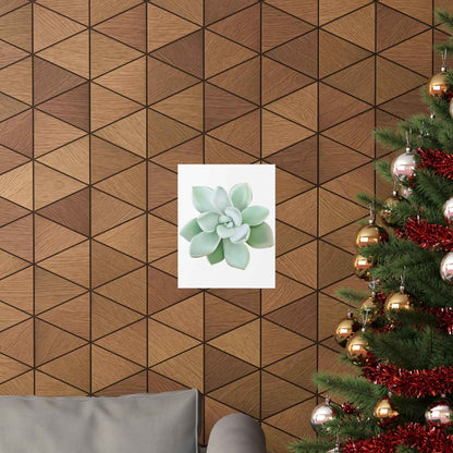 Pachyveria Haagei Succulent Botanical Print – Unframed Wall Art