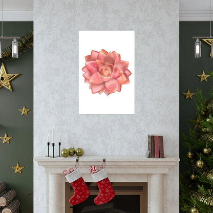 Graptosedum California Sunset Succulent Botanical Print – Unframed Wall Art