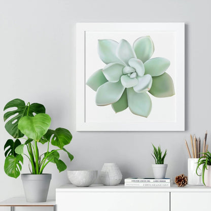Pachyveria Haagei Succulent Framed Print – Botanical Wall Art