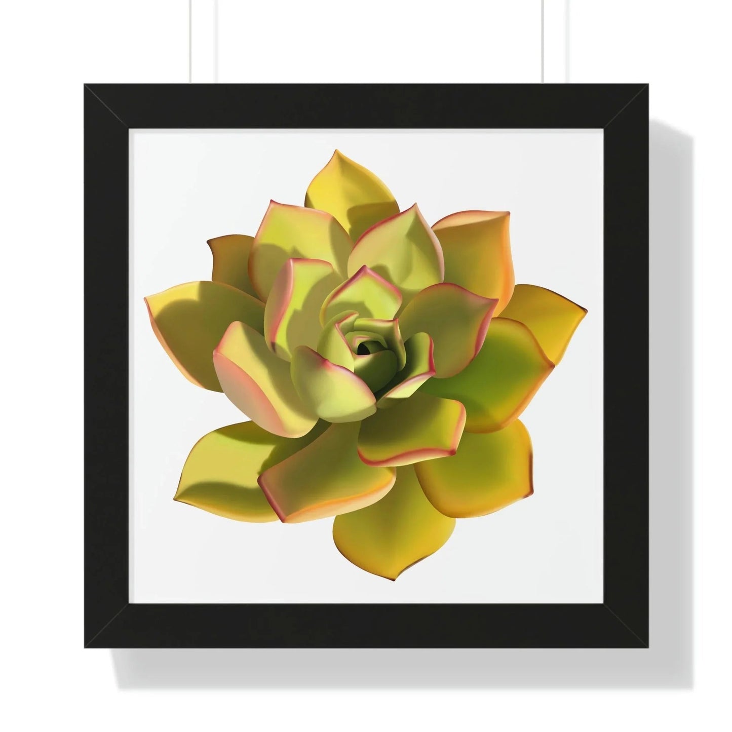 Noble Aeonium Succulent Framed Print – Botanical Wall Art