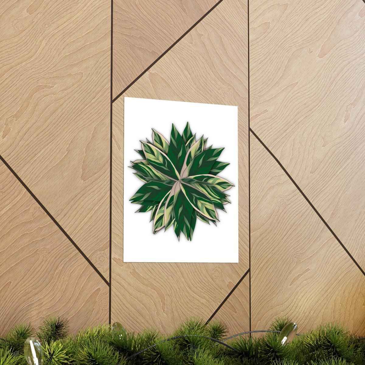 Stromanthe Triostar Botanical Print – Unframed Wall Art