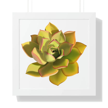 Noble Aeonium Succulent Framed Print – Botanical Wall Art