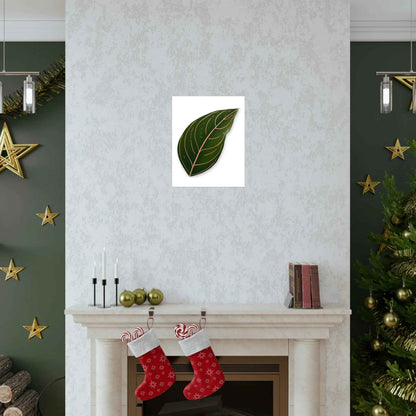 Aglaonema Rotundum Botanical Print – Unframed Wall Art