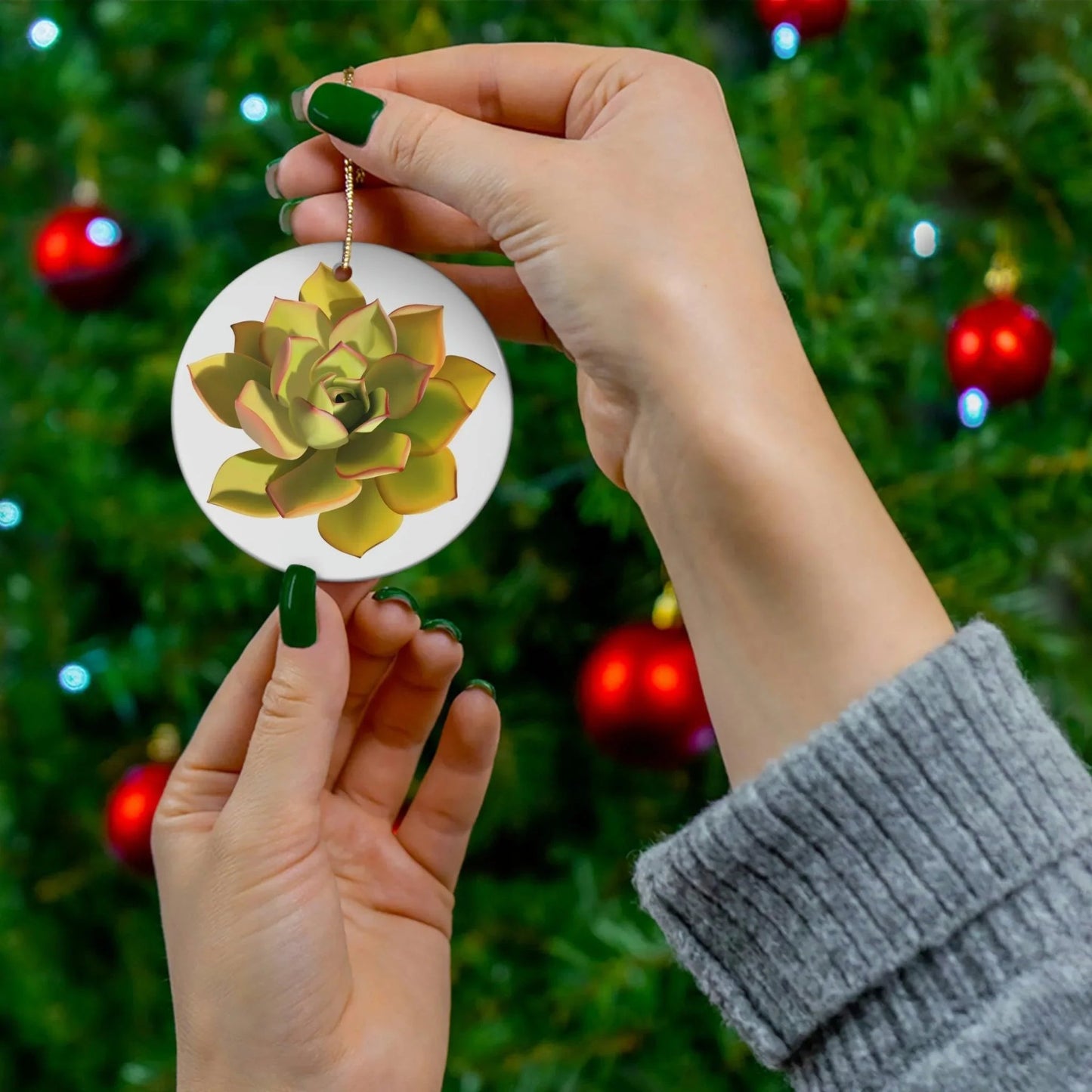 Noble Aeonium Succulent Ceramic Ornament – Gold String Holiday Decor