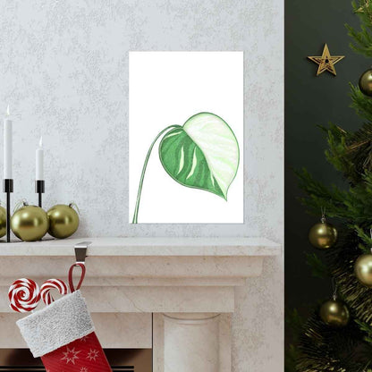 Monstera Albo Botanical Print – Unframed Wall Art