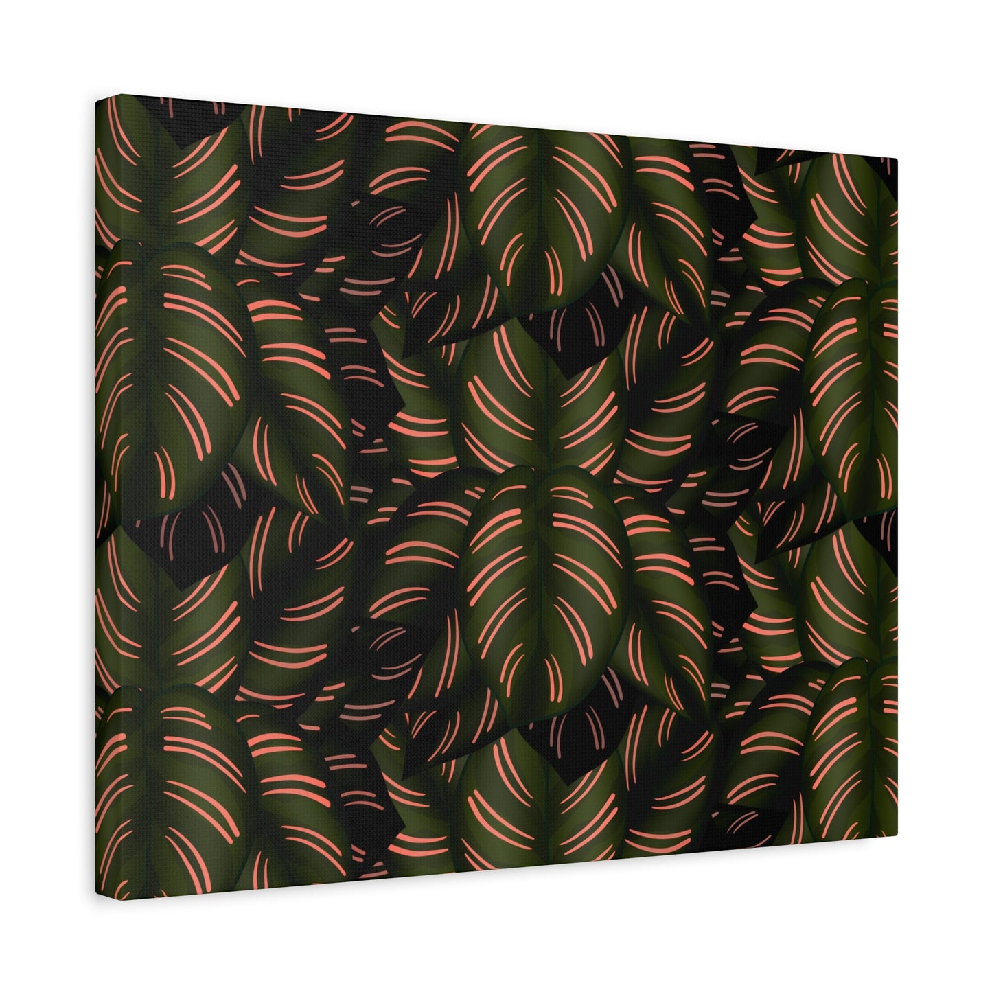 Calathea Pinstripe Pattern Canvas Print – Botanical Wall Art