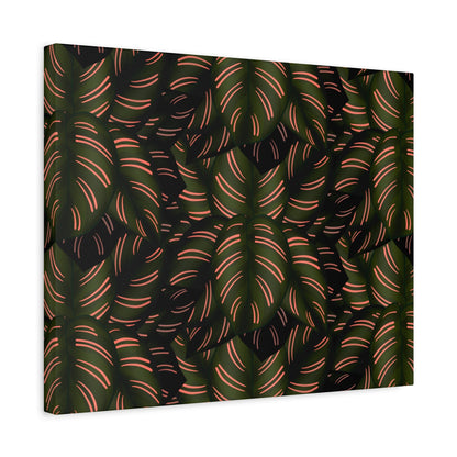 Calathea Pinstripe Pattern Canvas Print – Botanical Wall Art
