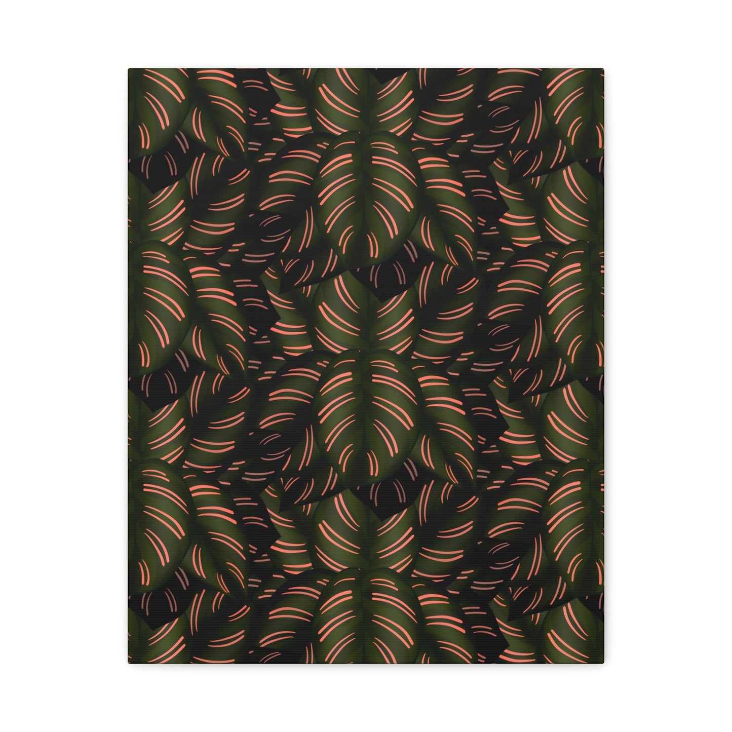 Calathea Pinstripe Pattern Canvas Print – Botanical Wall Art