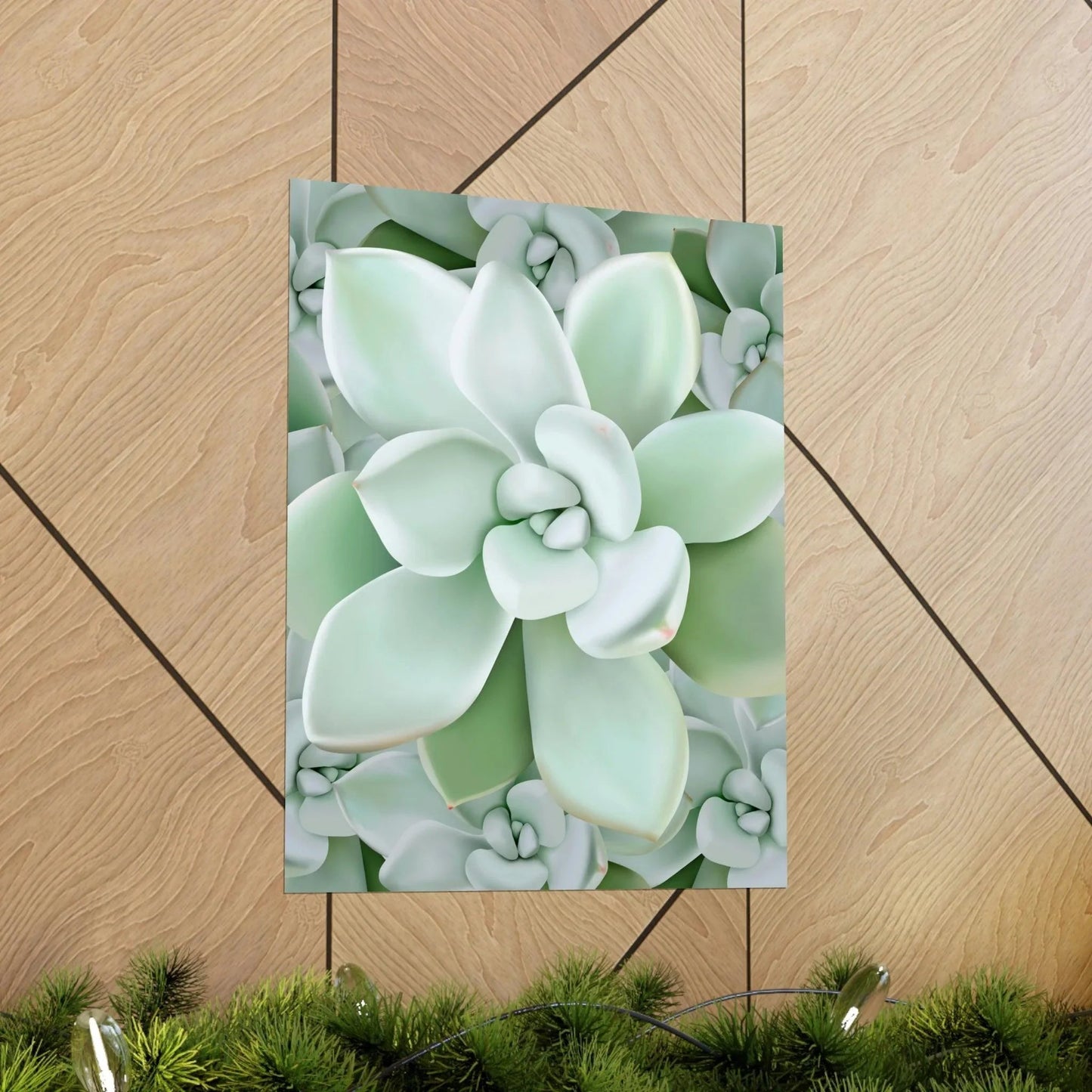 Pachyveria Haagei Succulent Pattern Botanical Print – Unframed Wall Art