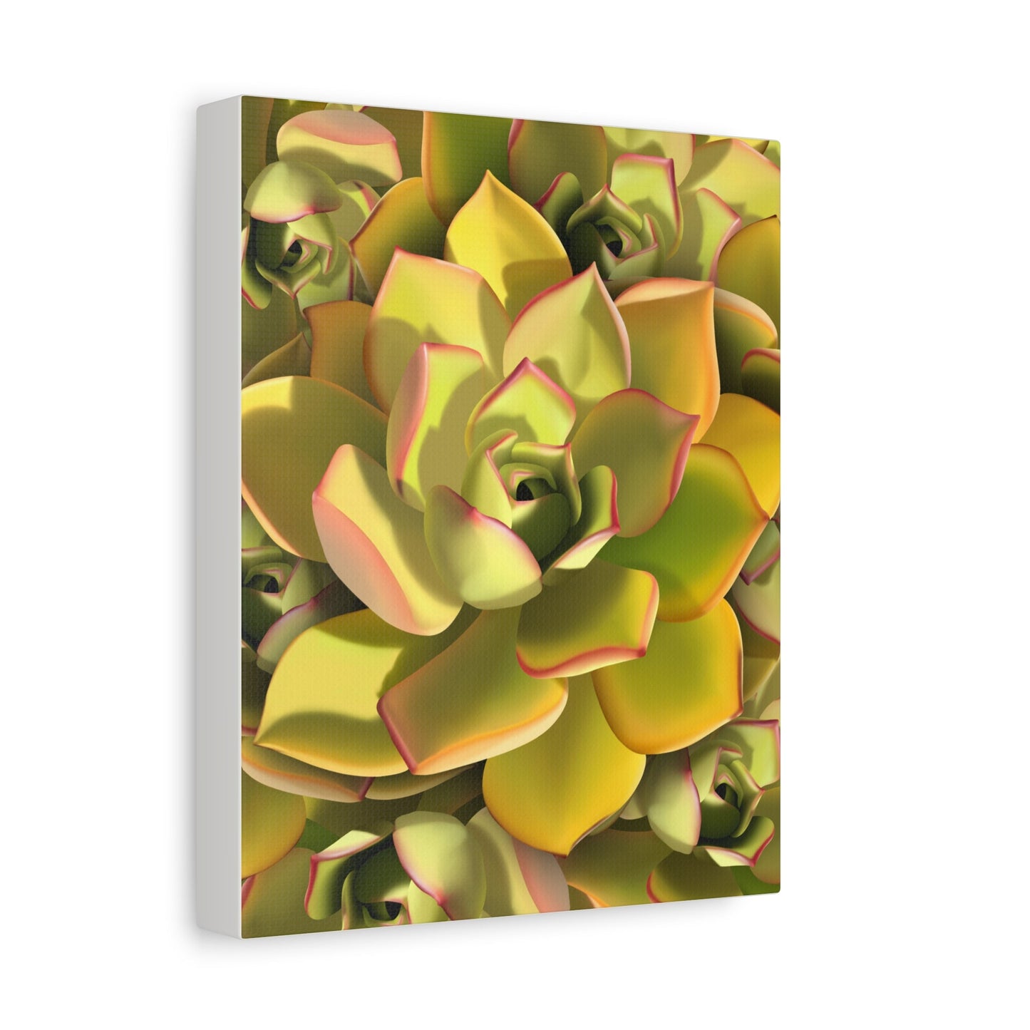 Noble Aeonium Succulent Pattern Canvas Print – Botanical Wall Art