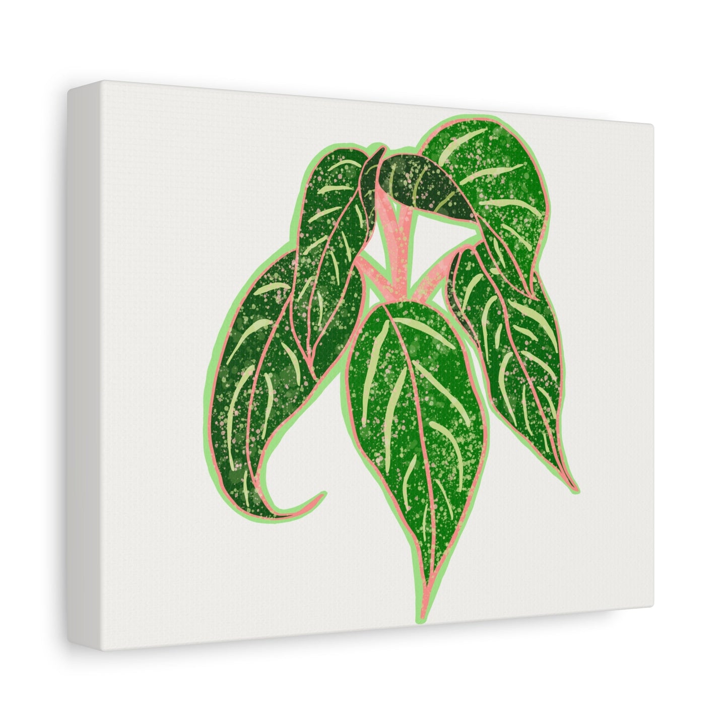 Aglaonema Sparkling Sarah Canvas Print – Botanical Wall Art