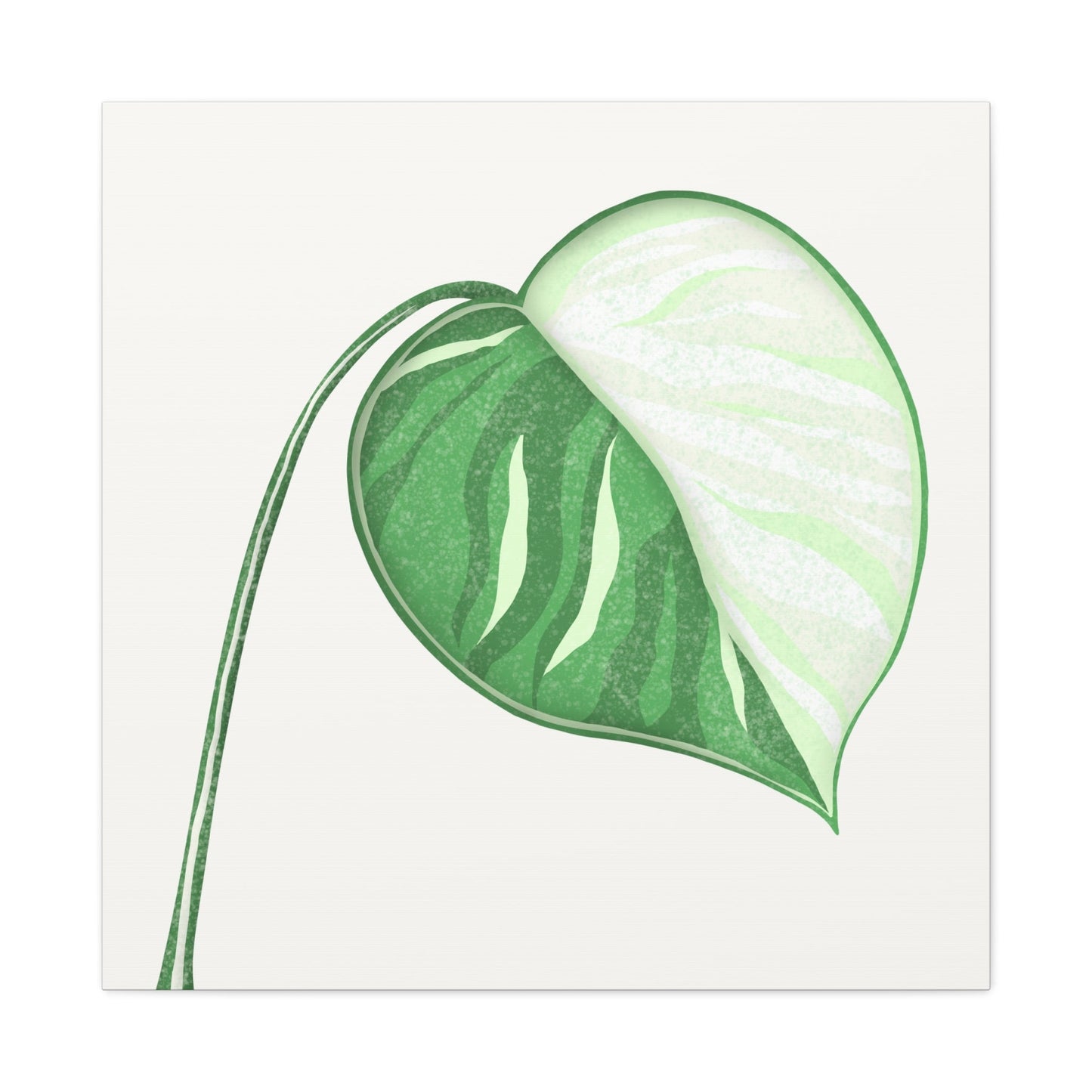 Monstera Albo Canvas Print – Botanical Wall Art