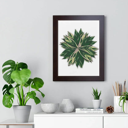 Stromanthe Triostar Framed Print – Botanical Wall Art