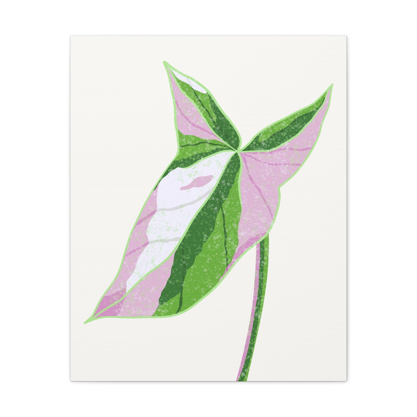 Syngonium Tricolor Canvas Print – Botanical Wall Art