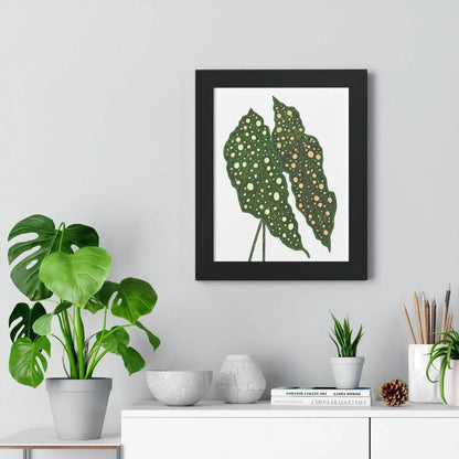 Begonia Maculata Framed Print – Botanical Wall Art