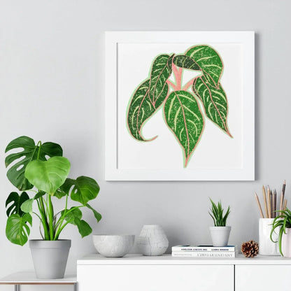 Aglaonema Sparkling Sarah Framed Print – Botanical Wall Art