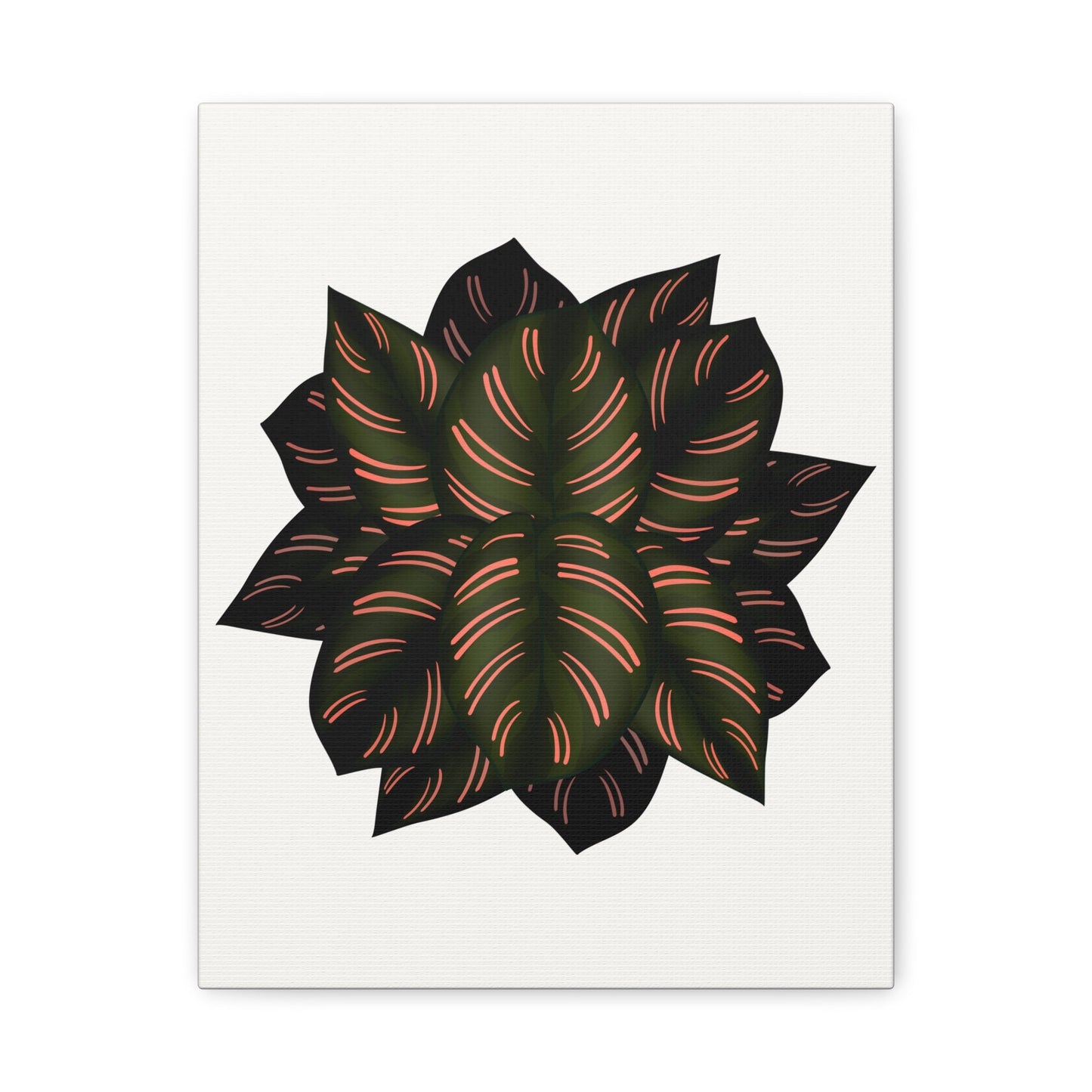 Calathea Pinstripe Canvas Print – Botanical Wall Art