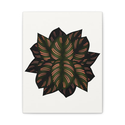 Calathea Pinstripe Canvas Print – Botanical Wall Art