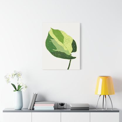 Manjula Pothos Illustrated Canvas Print – Botanical Wall Art