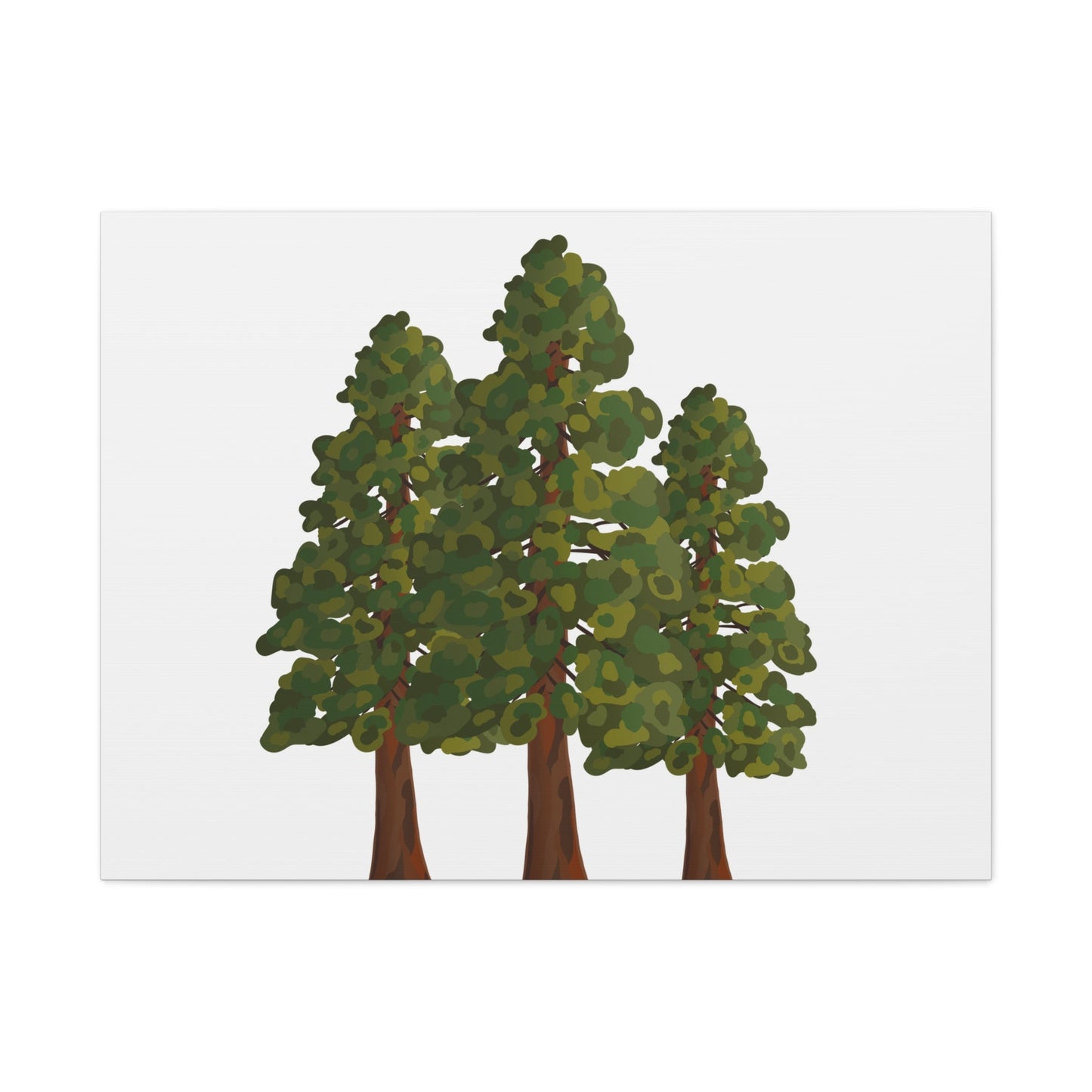Coastal Redwood Canvas Print – Wall Art