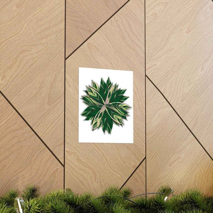 Stromanthe Triostar Botanical Print – Unframed Wall Art