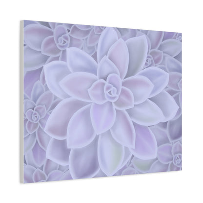 Graptopetalum Murasaki Succulent Pattern Canvas Print – Botanical Wall Art