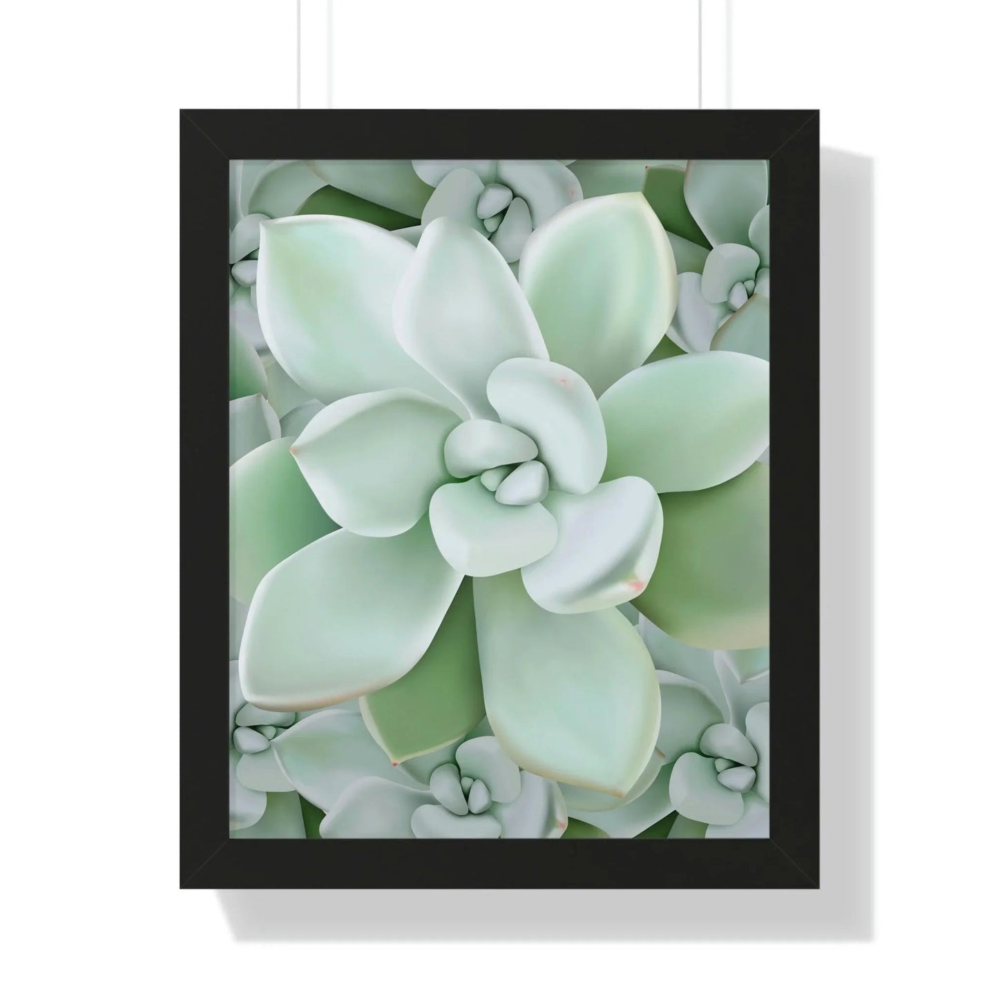 Pachyveria Haagei Succulent Pattern Framed Print – Botanical Wall Art