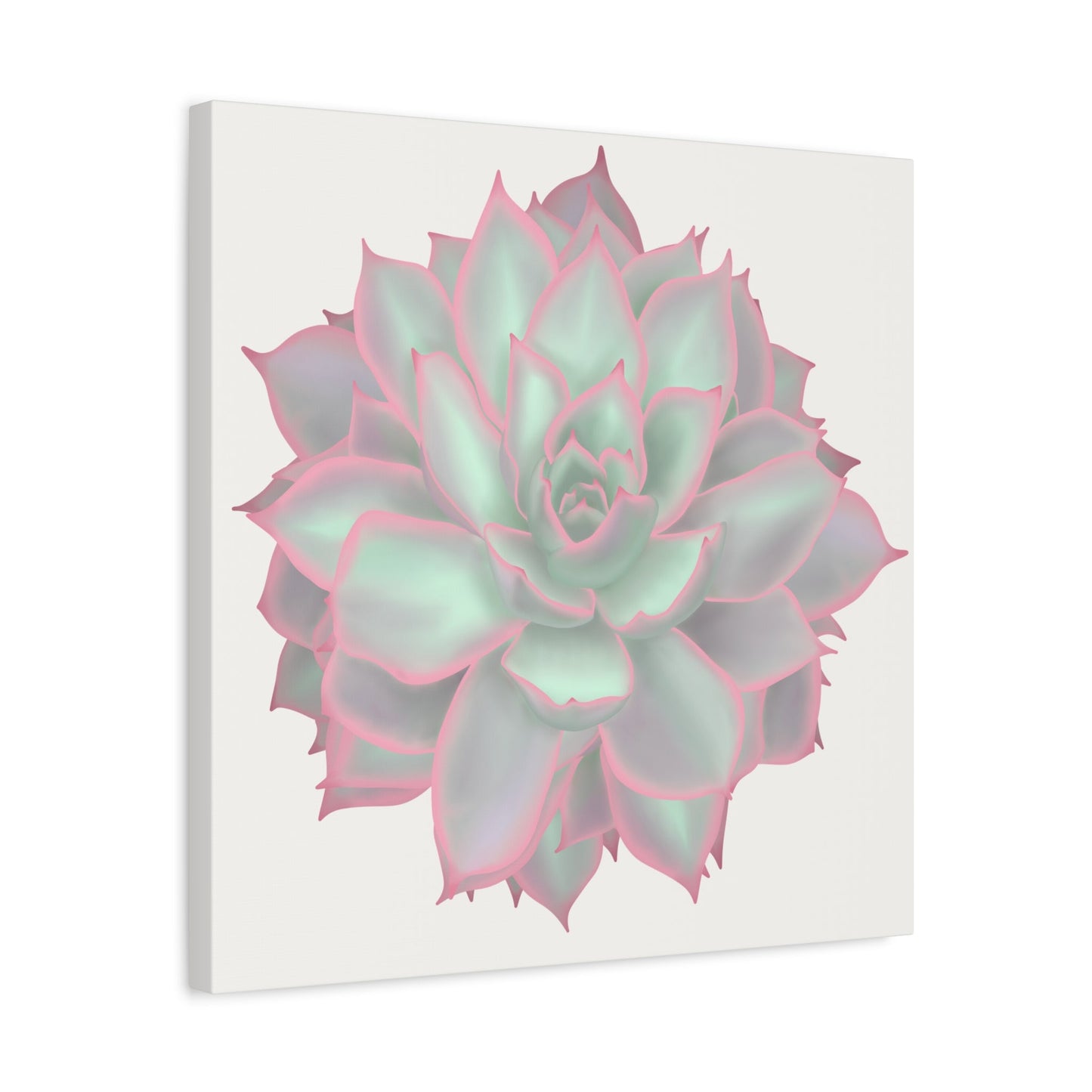 Echeveria Violet Queen Succulent Canvas Print – Botanical Wall Art