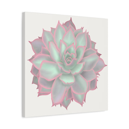 Echeveria Violet Queen Succulent Canvas Print – Botanical Wall Art