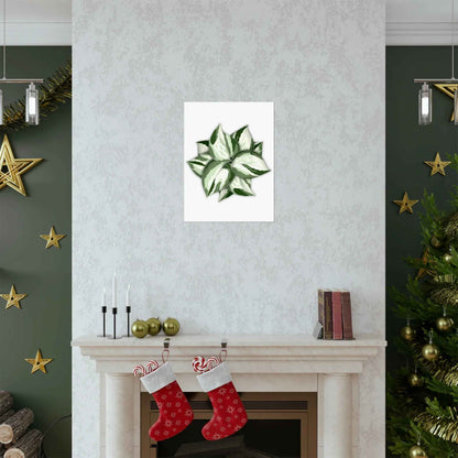 Manjula Pothos Botanical Print – Unframed Wall Art