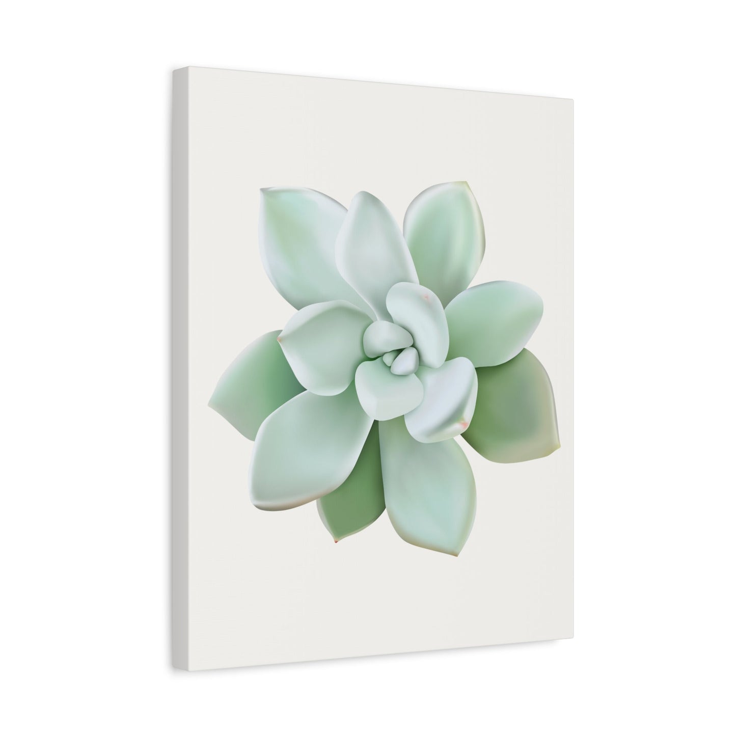 Pachyveria Haagei Succulent Canvas Print – Botanical Wall Art