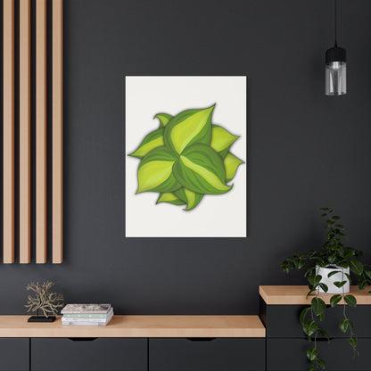 Philodendron Brasil Canvas Print – Botanical Wall Art