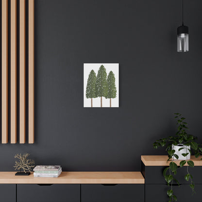 Ponderosa Pine Canvas Print – Wall Art