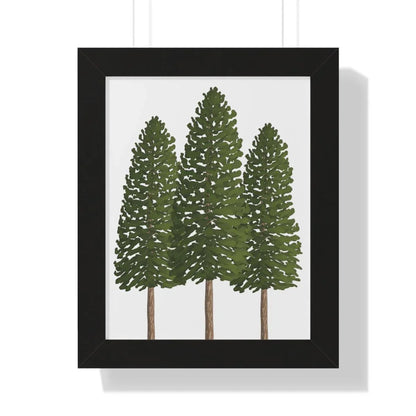 Ponderosa Pine Framed Print – Wall Art