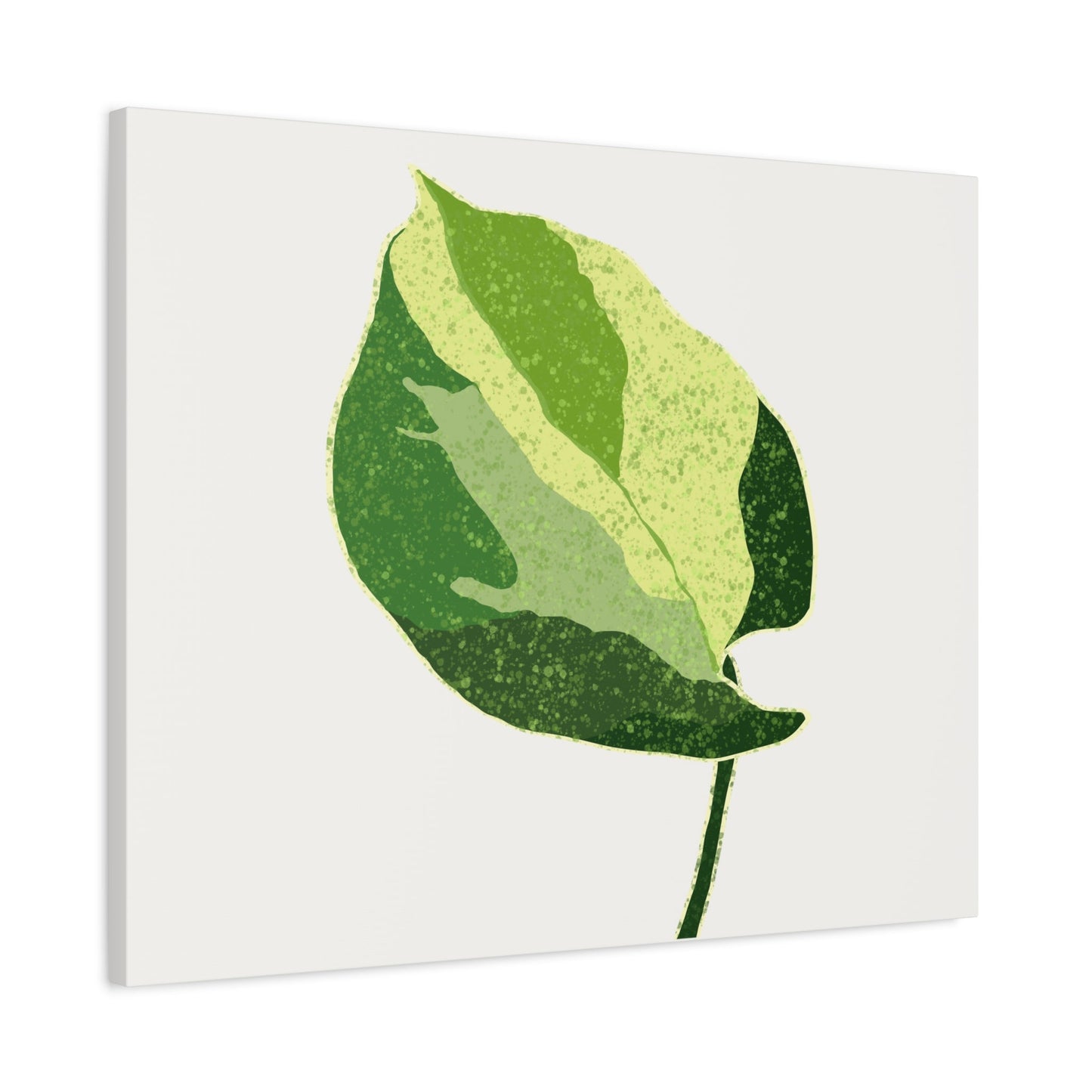 Manjula Pothos Illustrated Canvas Print – Botanical Wall Art