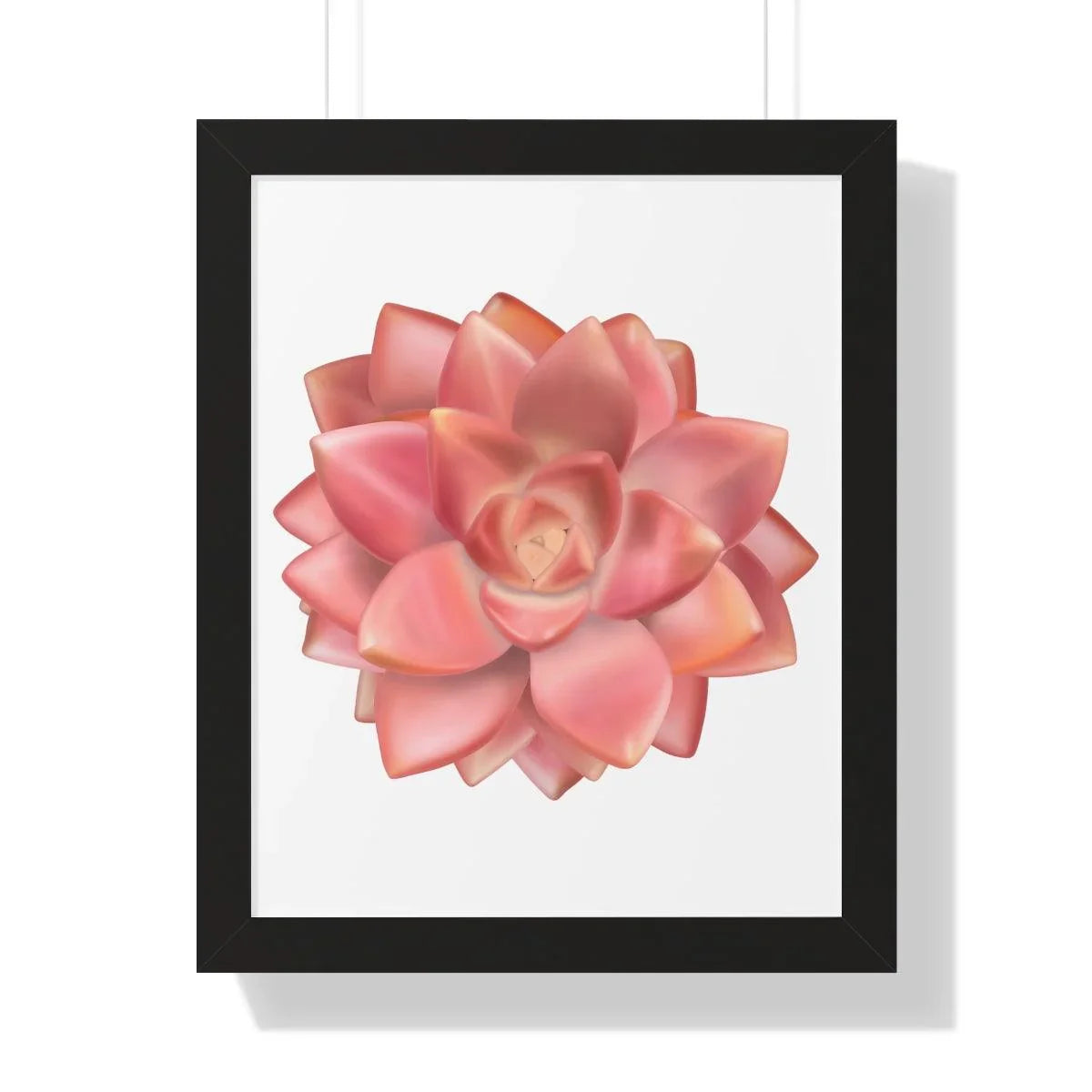 Graptosedum California Sunset Succulent Framed Print – Botanical Wall Art