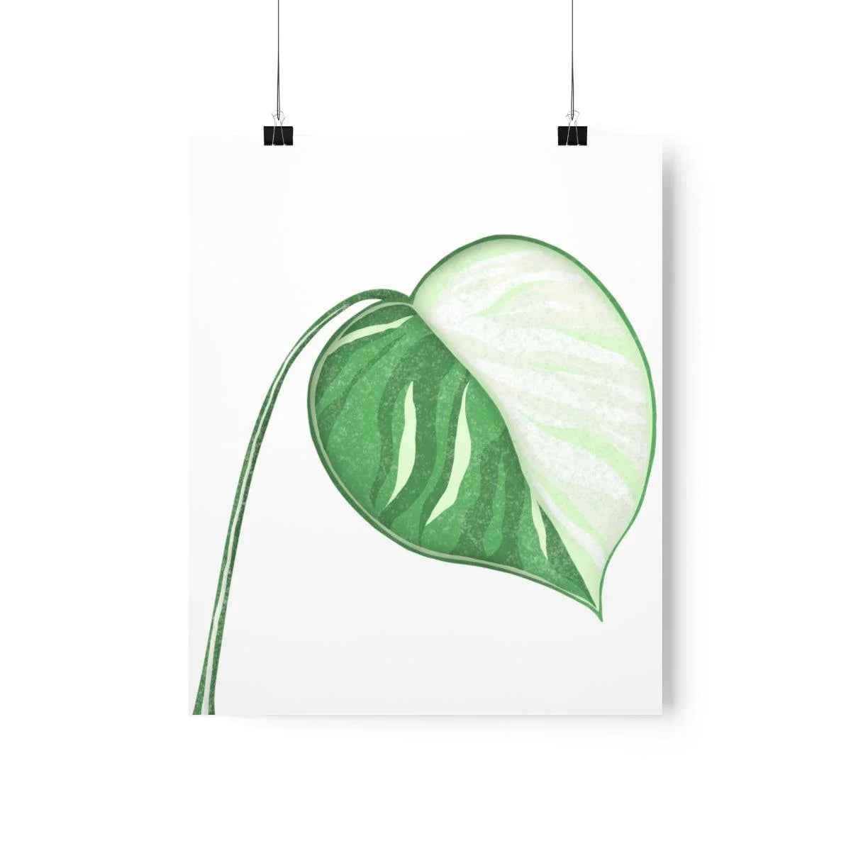 Monstera Albo Botanical Print – Unframed Wall Art