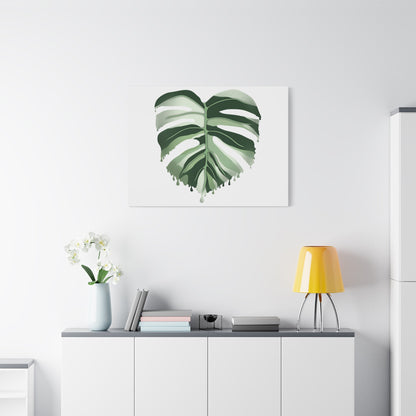 Melting Monstera Albo Canvas Print – Botanical Wall Art