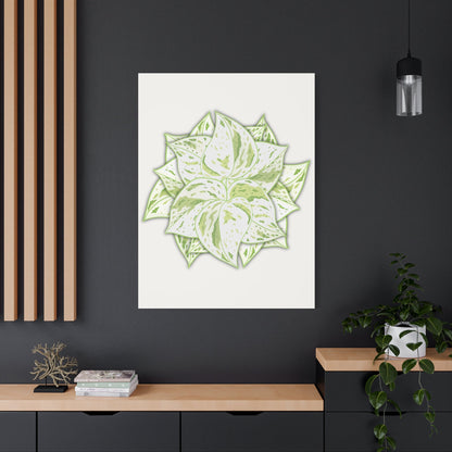 Snow Queen Pothos Canvas Print – Botanical Wall Art